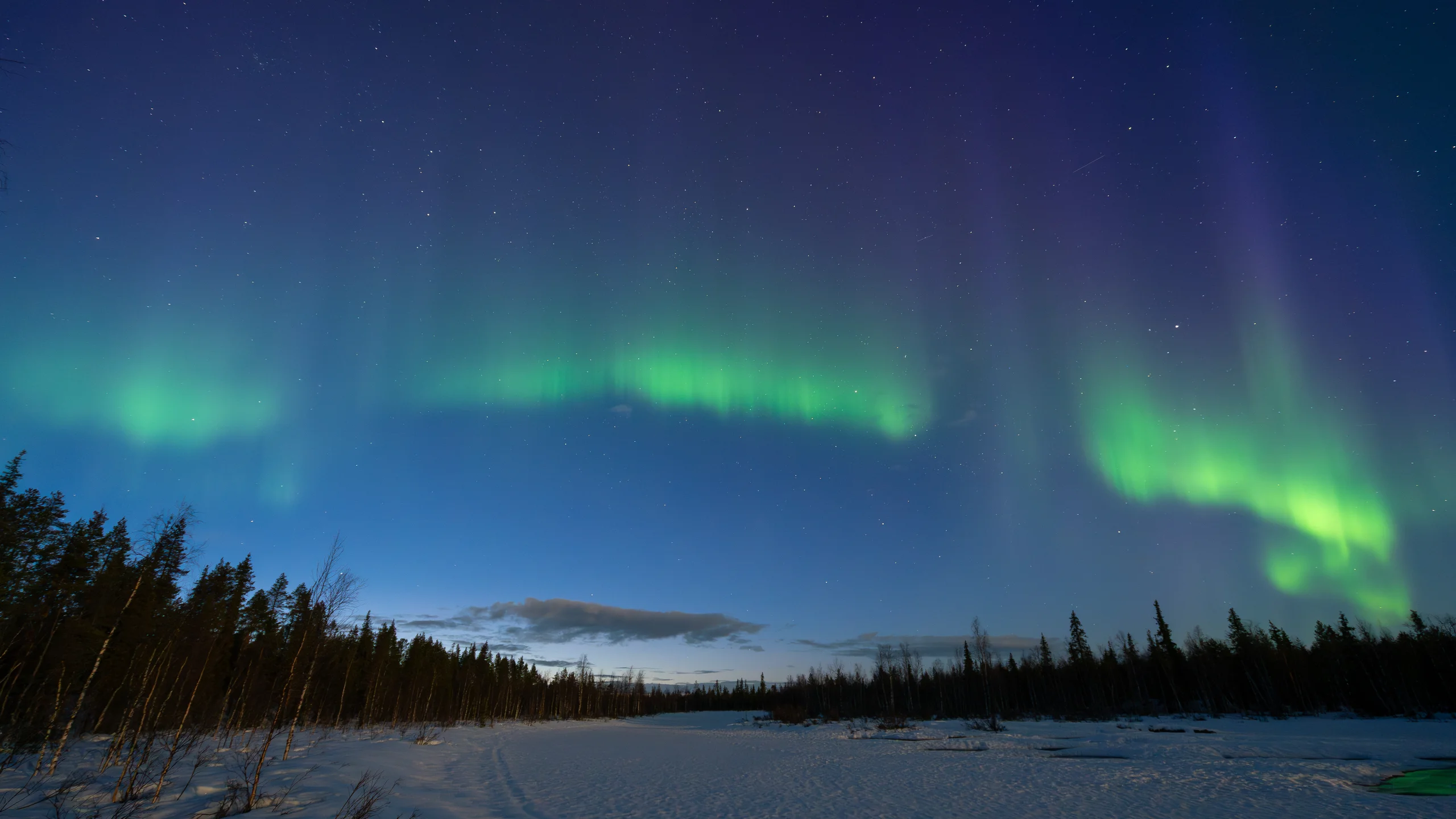 Revontulet: why Finland calls the northern lights fox fires