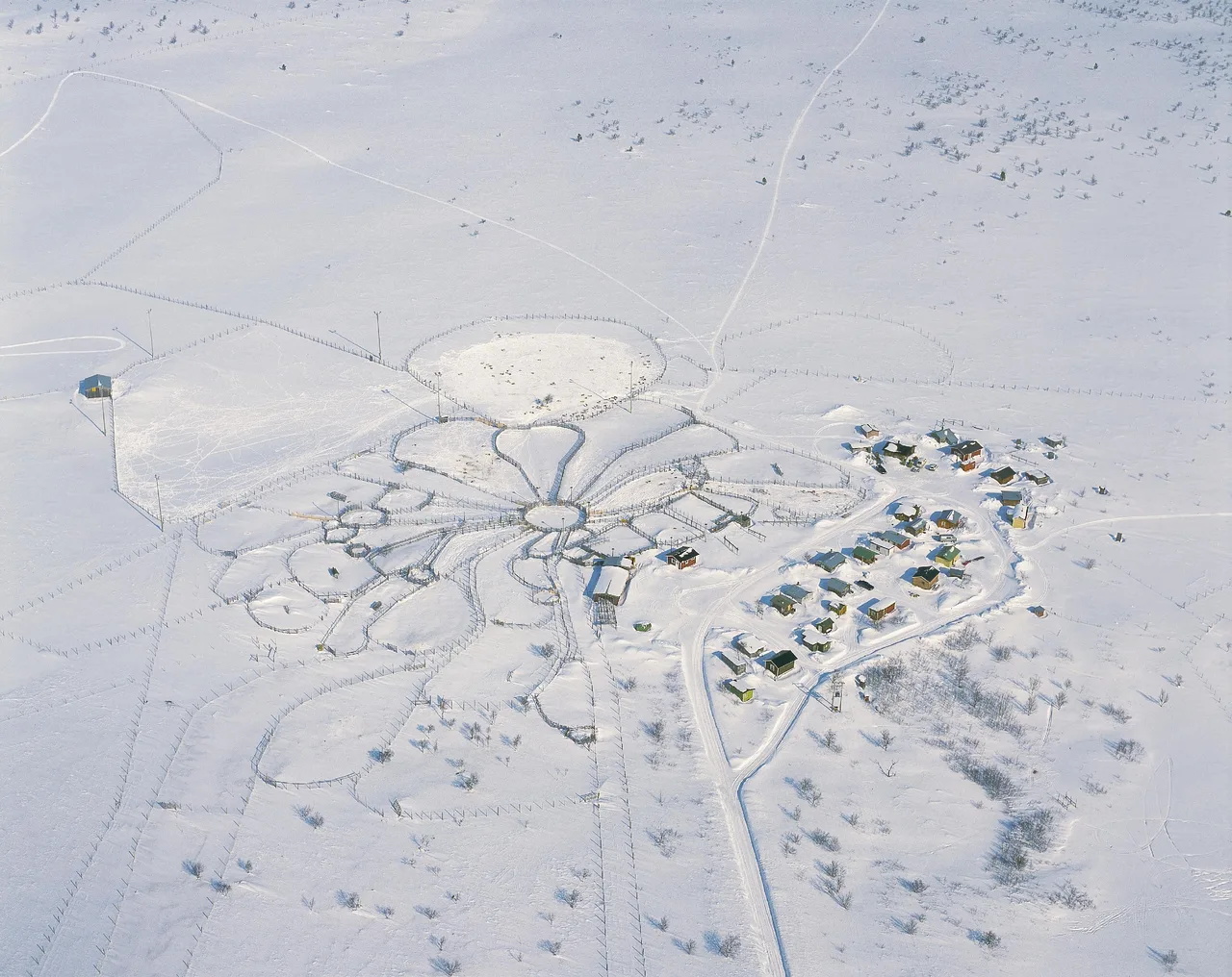 Aerial view of Sámi settlement with traditional circular structures and buildings scattered across snowy landscape.